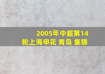 2005年中超第14轮上海申花 青岛 集锦